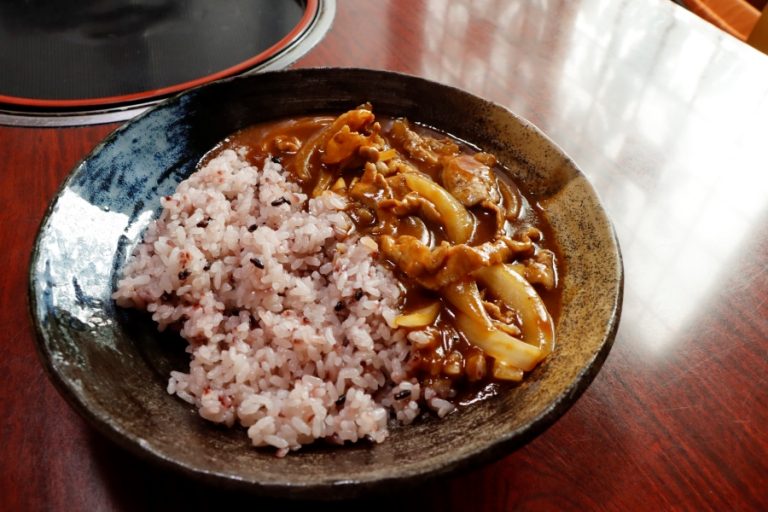 Hayashi rice of Ena-city