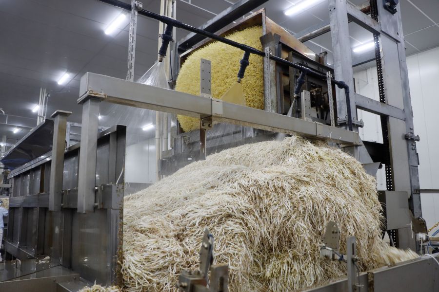 もやし工場見学レポ（養老町・株式会社サラダコスモ） – 生活情報誌